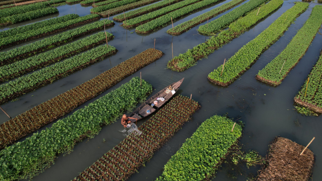 Scaling up nature-based solutions requires policy commitment