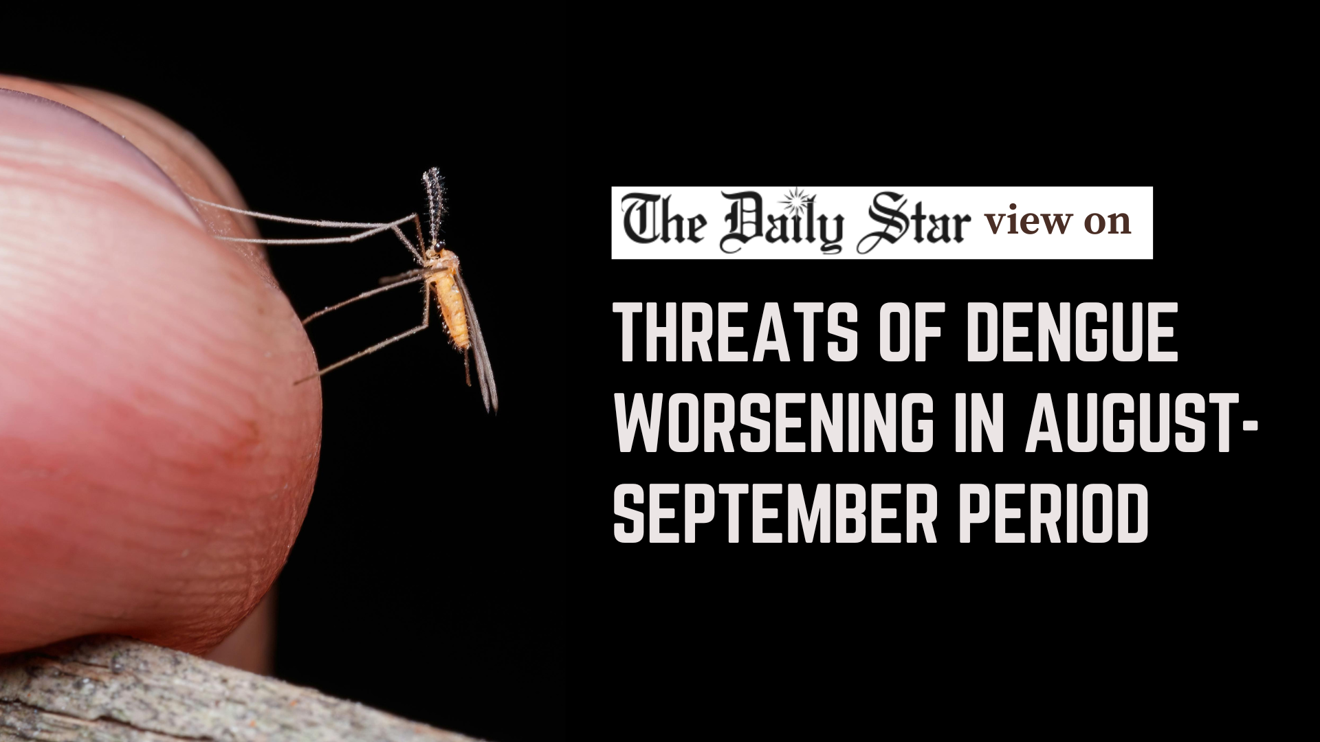 Why can’t we contain dengue?