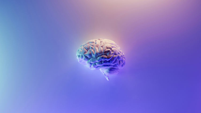 Foods that support brain health and sharpen memory