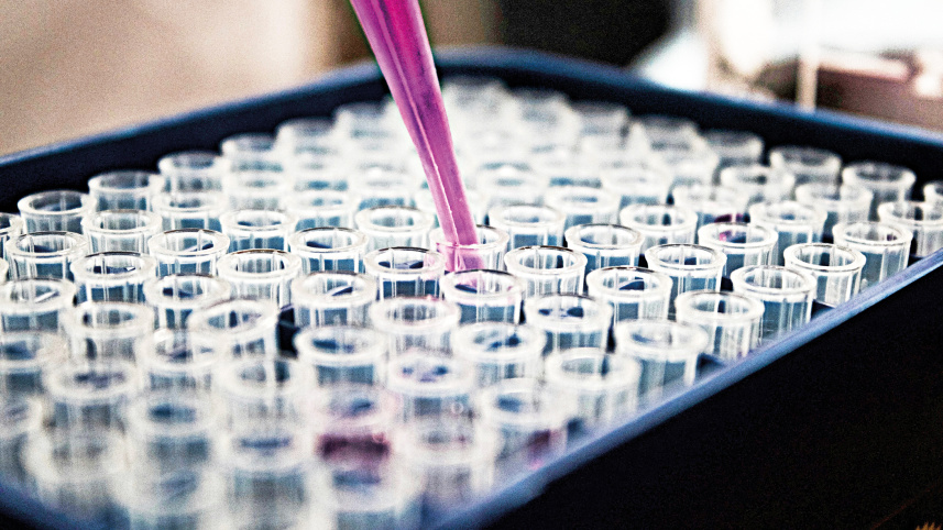 lab-1.jpg