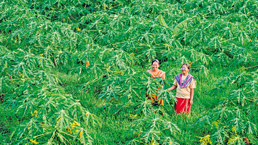 khushi-chakma-2.jpg