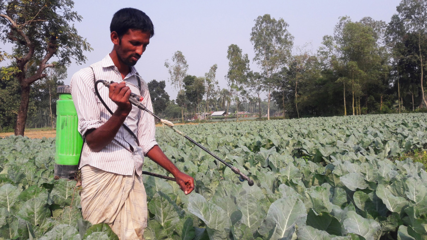 Pesticide-OP2.jpg