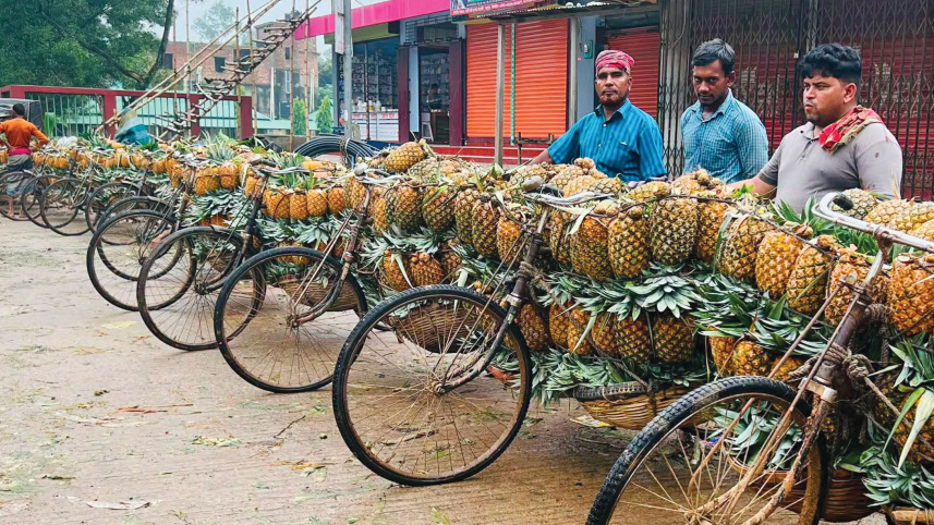 Pineapple-farmers-1.jpg