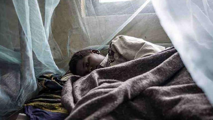 malaria web.jpg