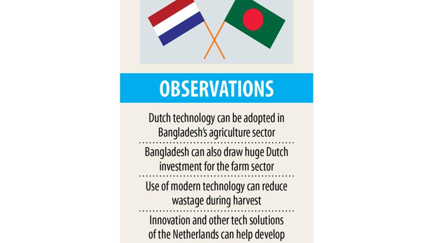 Dutch-investment.jpg