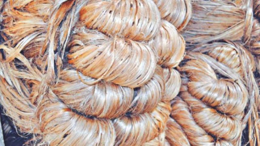 jute_10.jpg