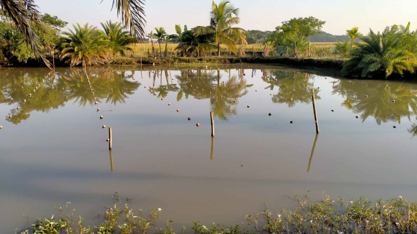 pond.jpg