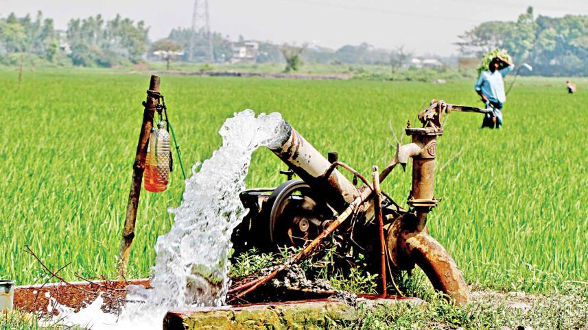 Irrigation.jpg
