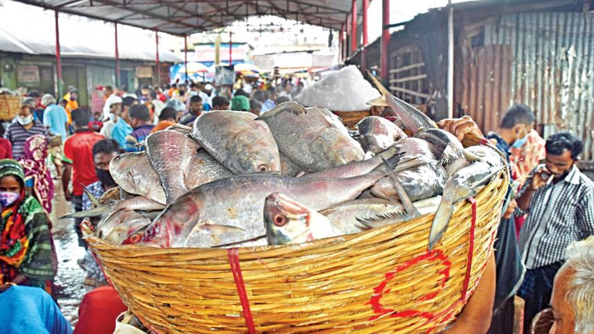 Aquaculture-4.0.jpg