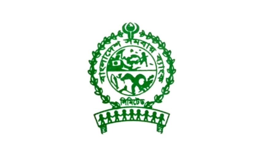 somoboy-web.jpg