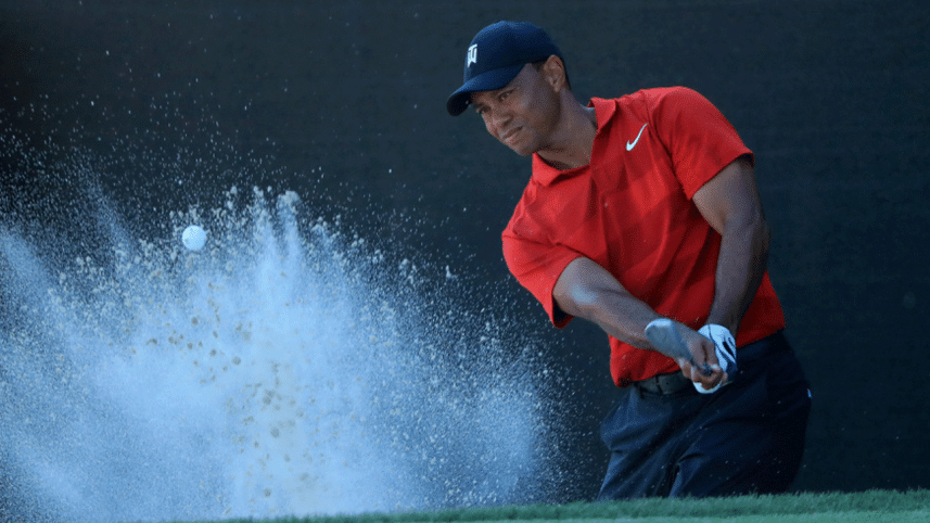 Woods.gif