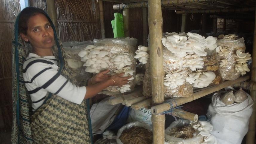 Female-mushroom-farmer.jpg