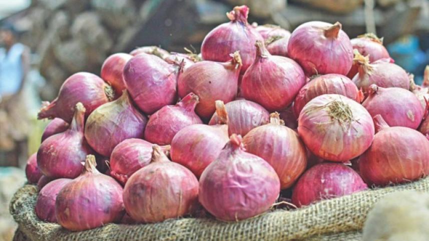 onion_29.jpg