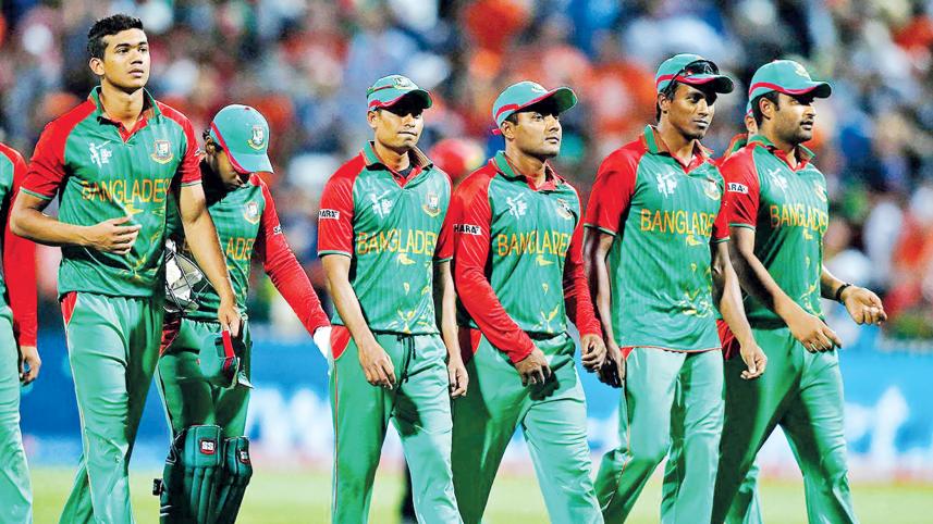 cricket-2.jpg