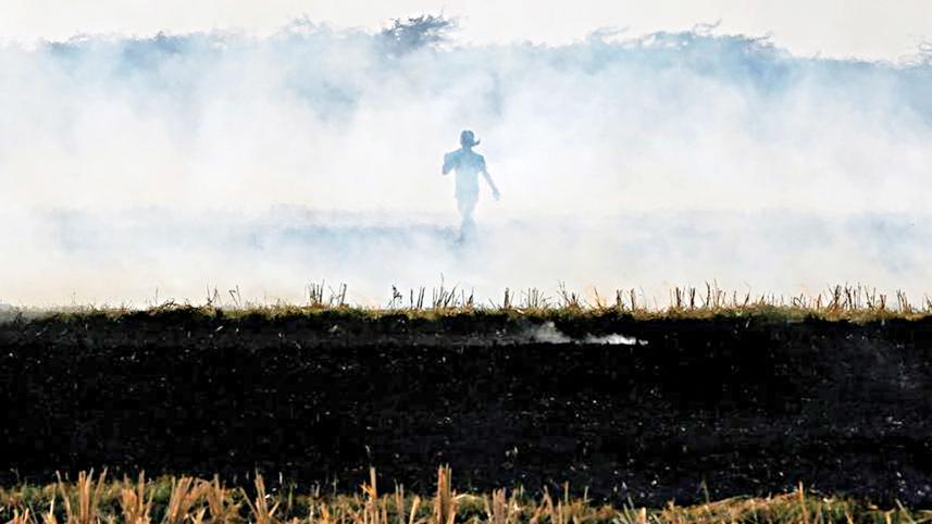 A-farmer-burns-paddy-waste.jpg