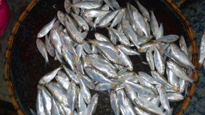 jatka_0.jpg