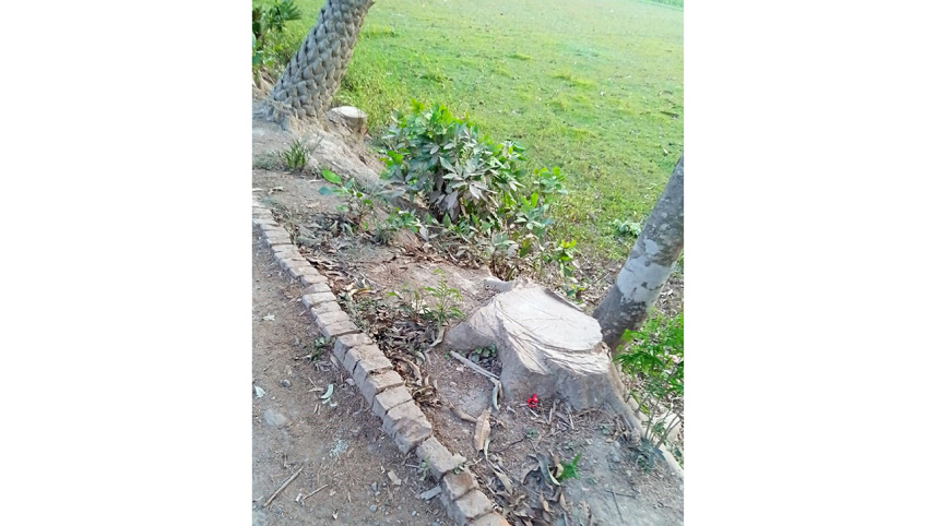 Patuakhali.jpg