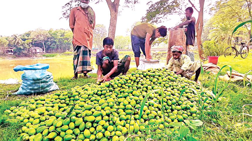 Delduar-upazila.jpg