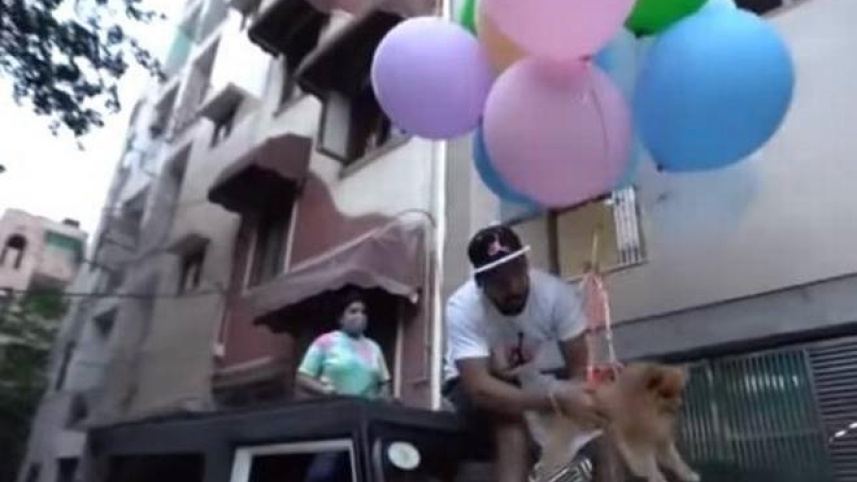 dog-baloons.jpg