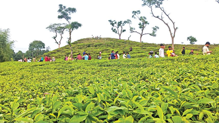 Sylhet.jpg
