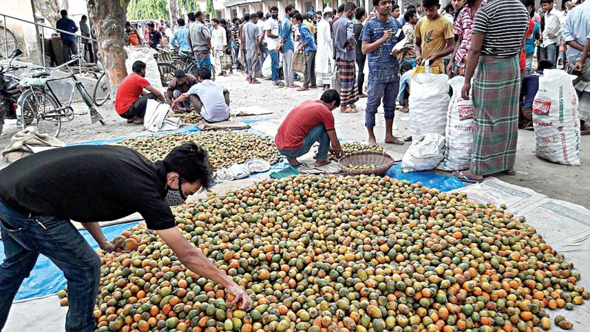 betel-nut.jpg