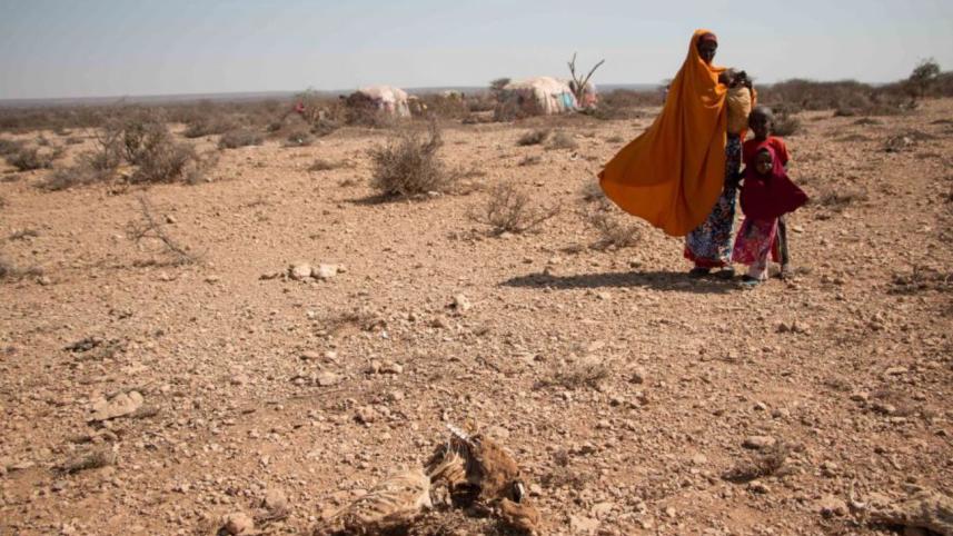 African Famine