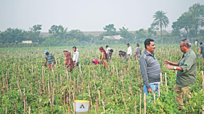 agri.jpg