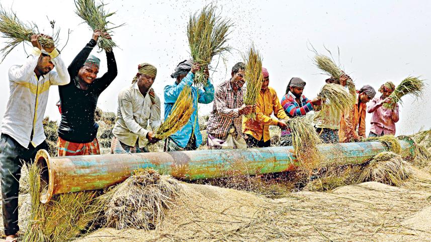 agriculture-sector.jpg
