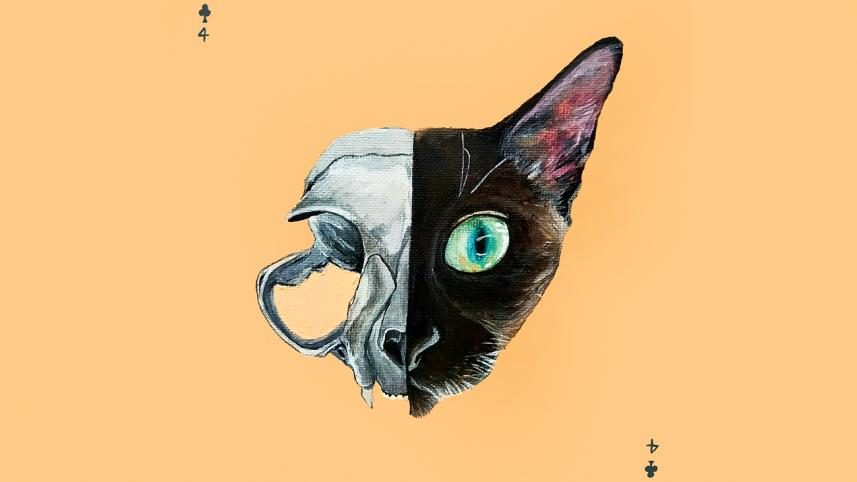animal 1.jpg