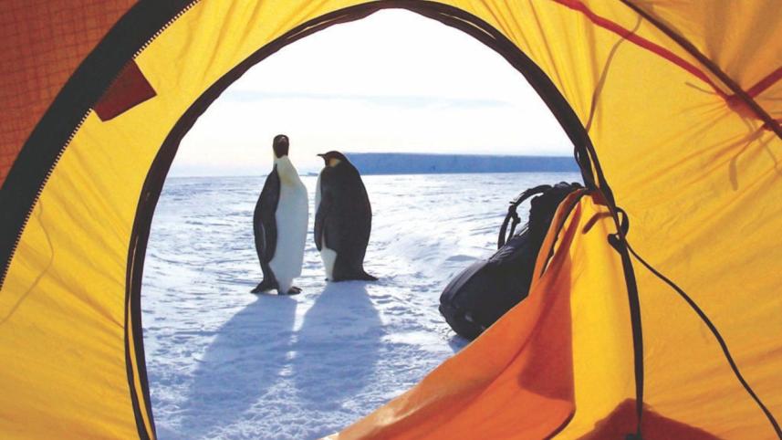 Antarctica