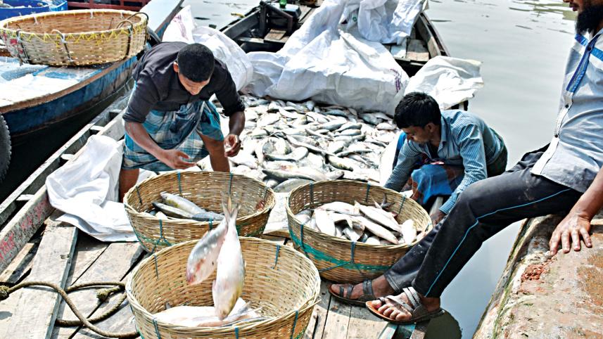 anti-fishing-drives.jpg