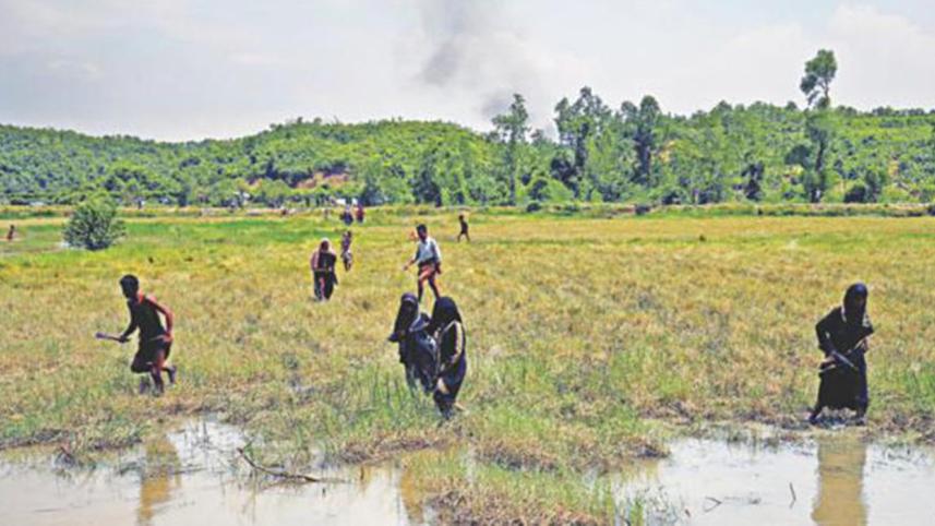 arsa-web.jpg