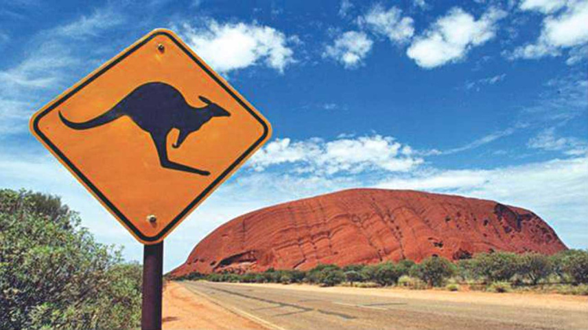 aussie.jpg