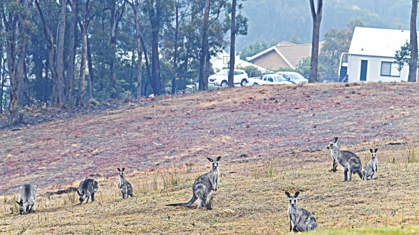 Australia.jpg