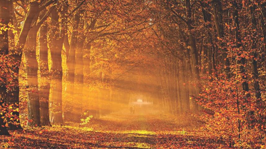 autumn