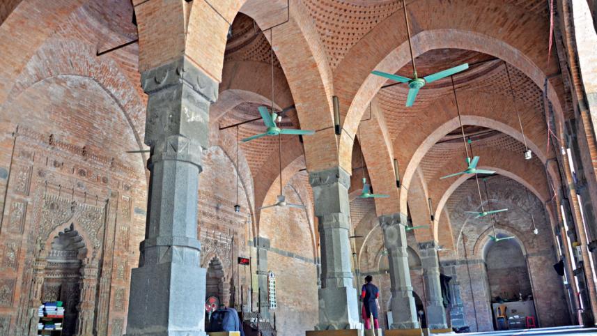 Bagha1.jpg