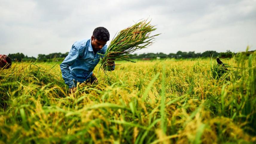 Bangladesh is among the 5 fastest economies in the world 