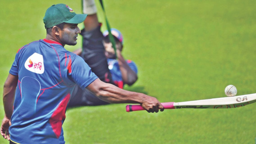 batting-wicket.jpg