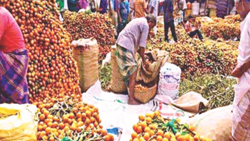Betel nuts.jpg