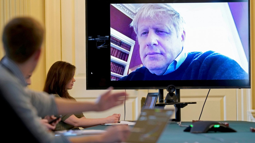 boJo.jpg