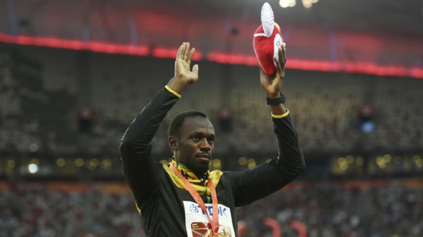 bolt-seeking.jpg-NS.jpg