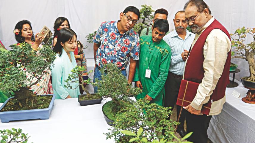 Bonsai.jpg