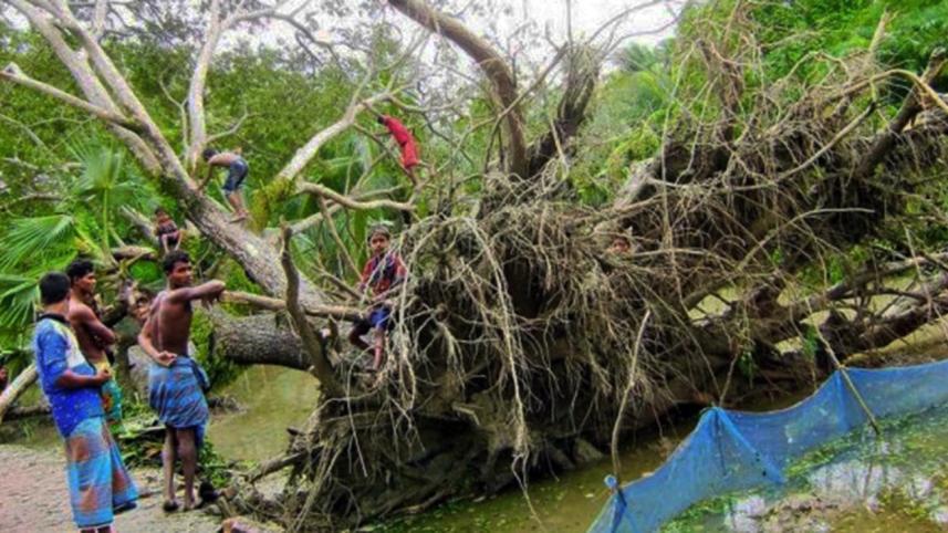 Cyclone Bulbul in Sundarbans