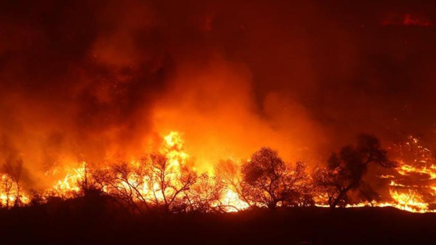 california-web.jpg