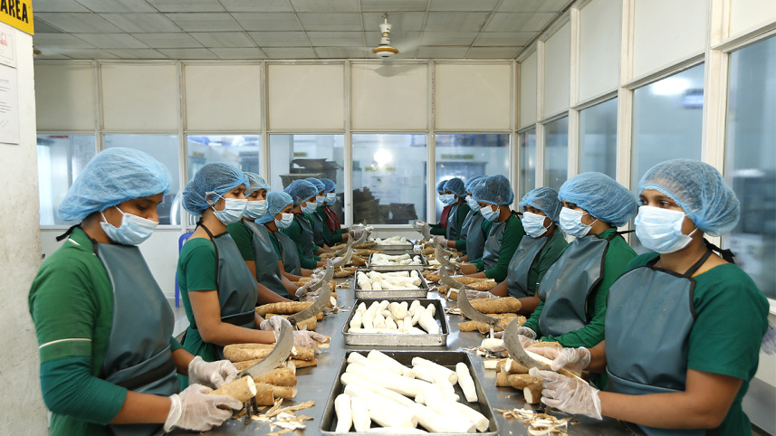 Cassava.jpg