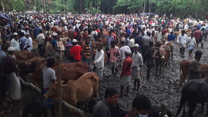 cattle-market-Covid-19-safe-distance.jpg