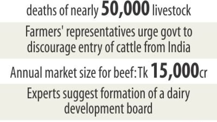 Cattle insurance.jpg