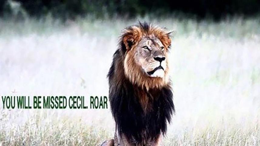 Cecil-Petition-WEB.jpg