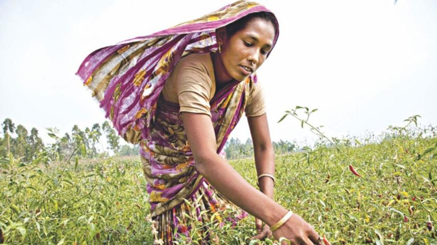 changing-rural-economy.jpg