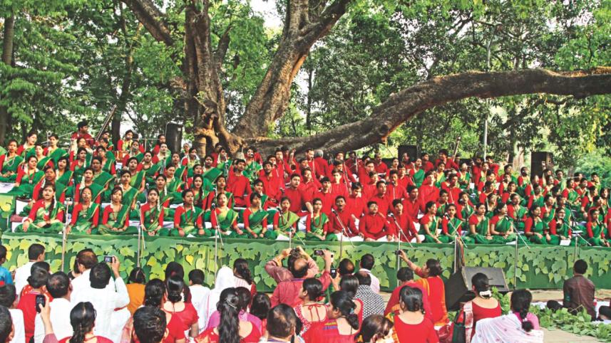 Chhaayanaut